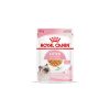 Royal Canin Cucciolo (gelatina) – Scatola 12×85 g