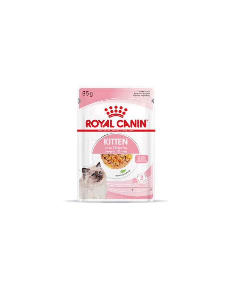 Royal Canin Kitten (gelatina) – Caja 12×85 g