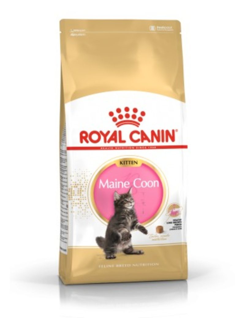 Royal Canin Kitten Maine Coon – Saco 10 KG