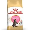 Royal Canin Kitten Maine Coon – Sacco 4 KG
