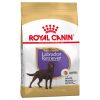 Royal Canin Labrador Retriever Adult Stérilisé, 12 KG