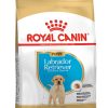 Royal Canin Labrador Retriever Puppy – Sac 12 KG