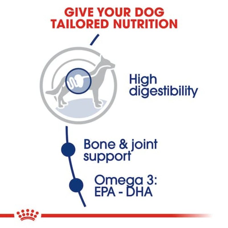 Royal Canin Maxi Adult ,10 kg