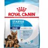 Royal Canin Maxi Starter – Sac 4 KG