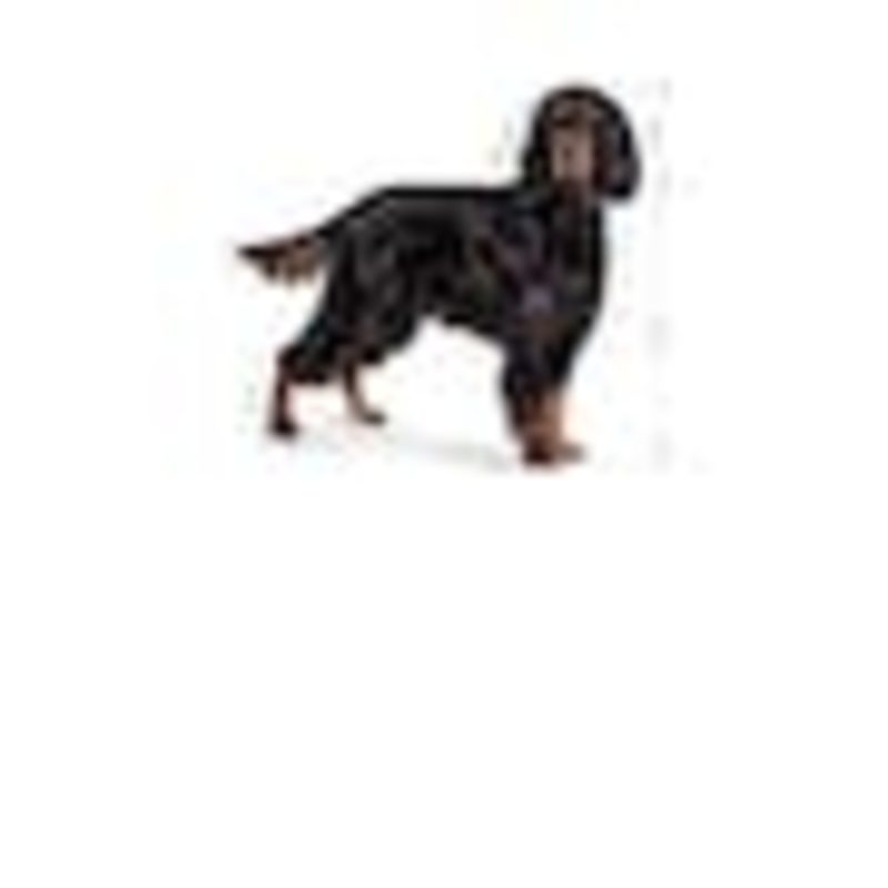 Royal Canin Maxi Sterilised, 12 kg