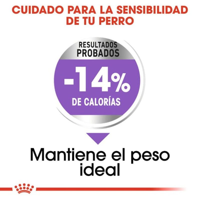 Royal Canin Maxi Sterilised, 12 kg