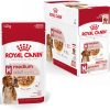 Royal Canin Medium Ageing (paté) – Doos 12 x 410 g