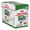Royal Canin Mini Adult Saus ( Salsa ), 12 x 85 g