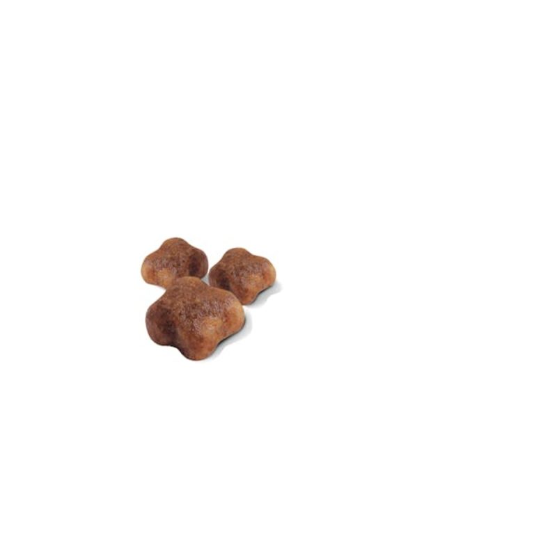 Royal Canin Mother & BabyCat, 4 kg