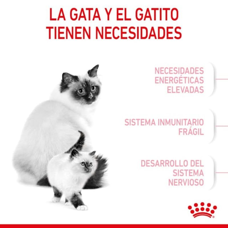 Royal Canin Mother & BabyCat, 4 kg