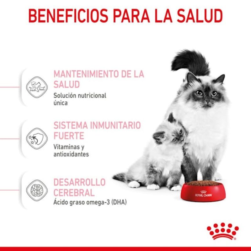 Royal Canin Mother & BabyCat, 4 kg