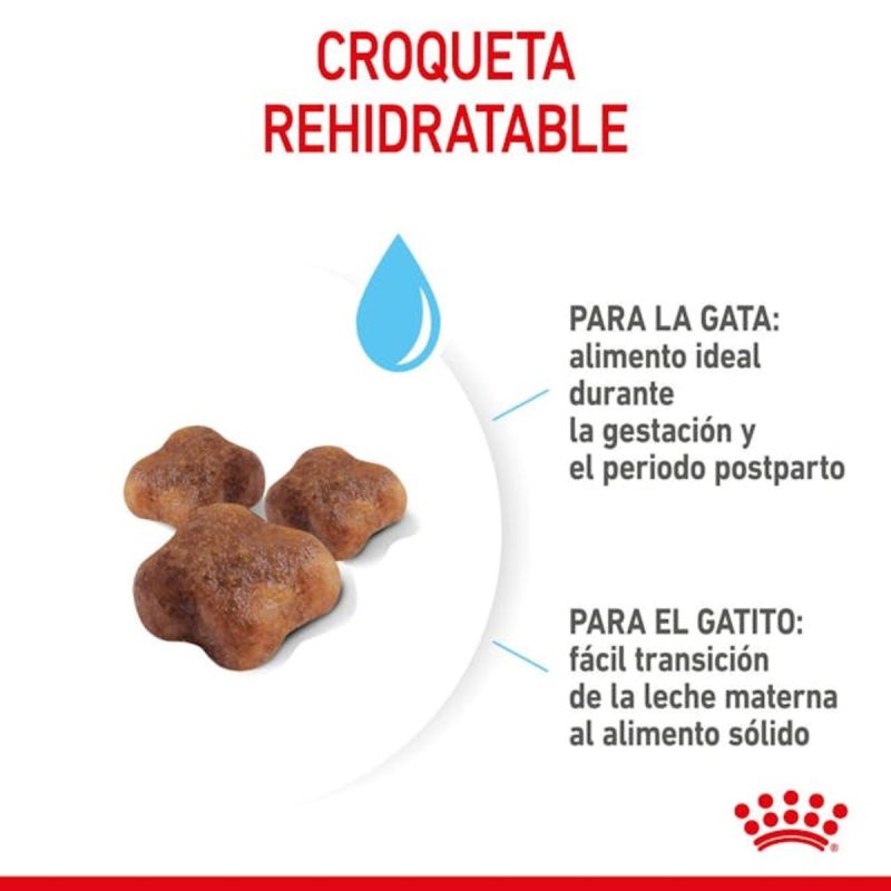 Royal Canin Mother & BabyCat, 4 kg