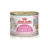 Royal Canin Mother & Babycat – Bandeja 12×195 g