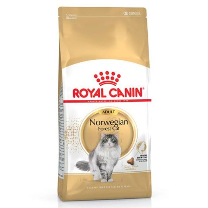 Royal Canin Norwegian Forest Cat – Saco 2 KG