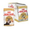 Royal Canin Persan – Boîte 12 x 85 g