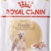 Royal Canin Poodle Adult – Boîte 12 x 85 g