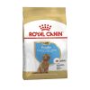 Royal Canin Poodle Puppy – Sacco 3 KG