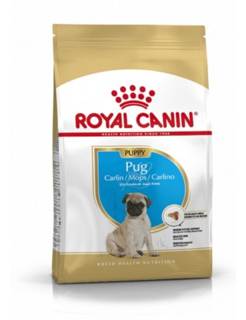 Royal Canin Pug Puppy – Saco 1,5 KG