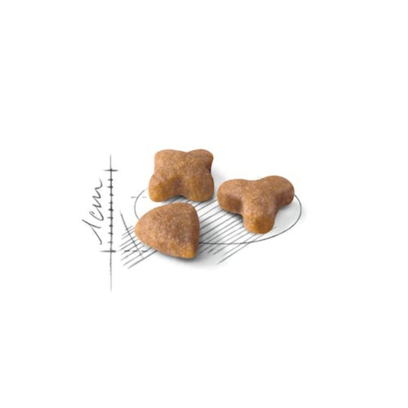 Royal Canin Sensible, 10 kg