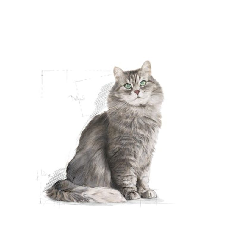 Royal Canin Sensible, 10 kg