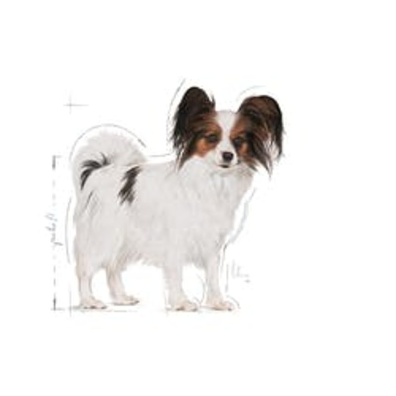 Royal Canin  X-Small Adult 500 gr
