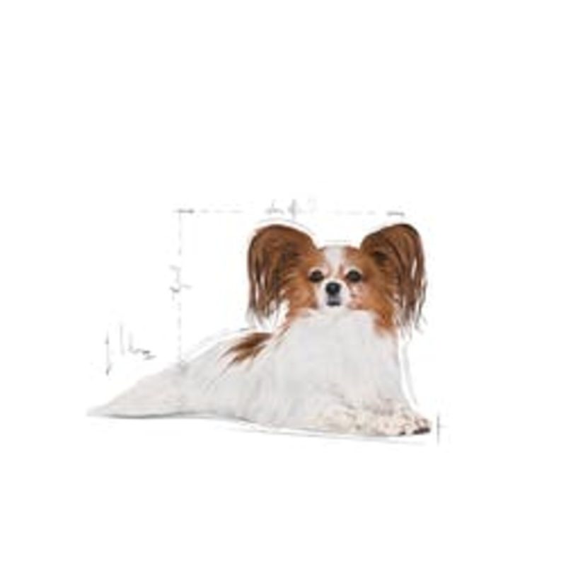 Royal Canin X-Small Ageing 12+, 1,5 kg