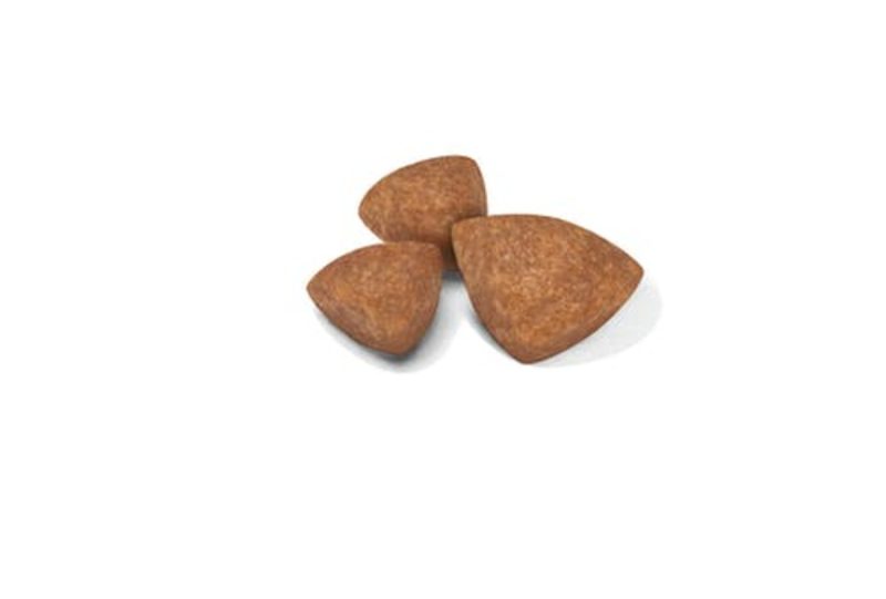 Royal Canin X-Small Puppy, 3kg