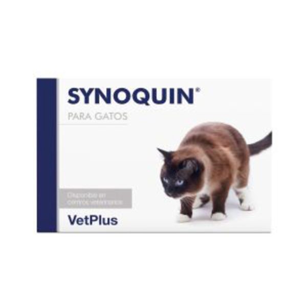 Synoquin Gatti 90 Capsule