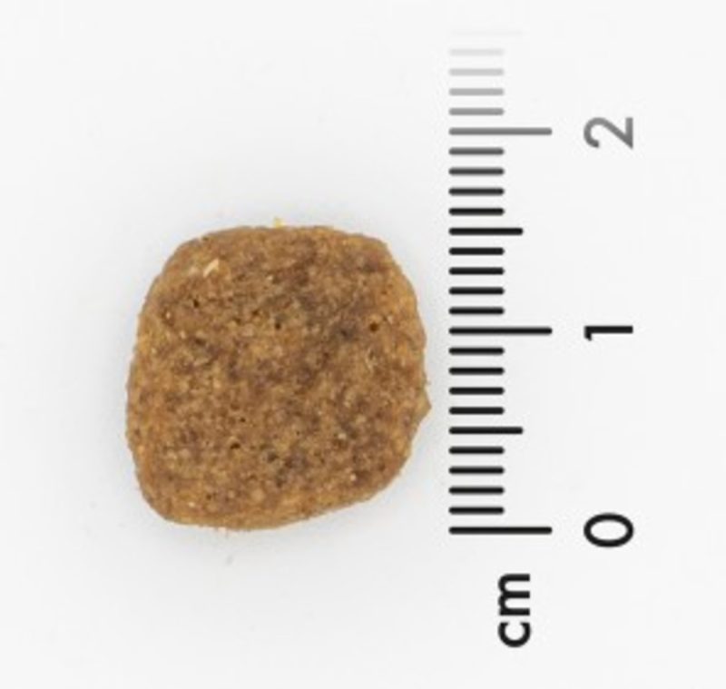 Veggie Animals Plus, 12,5 kg