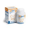 Prolivet grote honden 30 tabletten