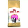 Royal Canin Kitten Persian 2 kg