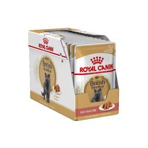 Royal Canin British Shorthair – Caja  12 x 85 g
