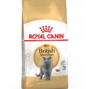 Royal Canin British Shorthair – Saco 2 KG