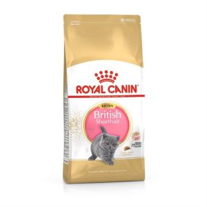 Royal Canin Kitten British Shorthair – Saco 2 KG