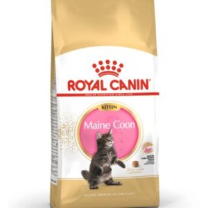 Royal Canin Kitten Maine Coon – Saco 10 KG