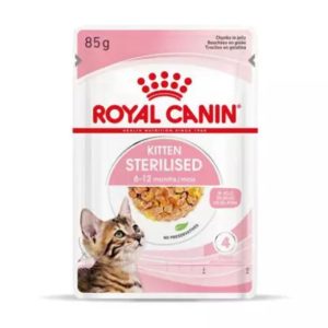 Royal Canin Kitten Sterilised (gelatina) – Caja 12×85 g