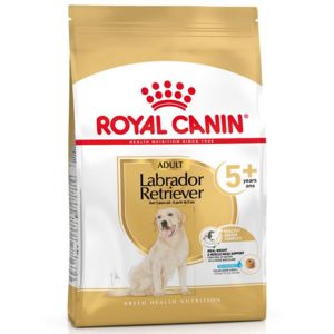 Royal Canin Labrador Retriever Adult 5+ – Saco 12 KG