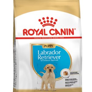 Royal Canin Labrador Retriever Puppy – Saco 12 KG