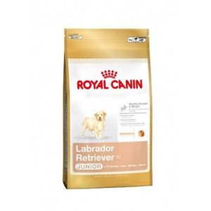 Royal Canin Labrador Retriever Puppy – Saco 3 KG