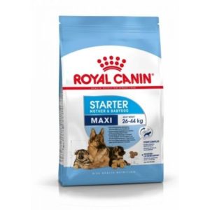 Royal Canin Maxi Starter – Saco 15 KG