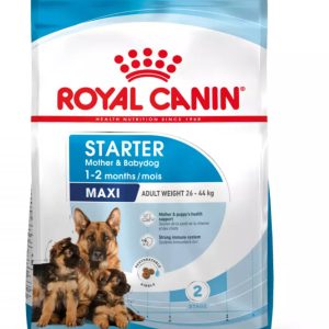 Royal Canin Maxi Starter – Saco 4 KG