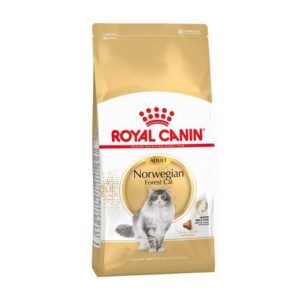 Royal Canin Norwegian Forest Cat – Saco 10 KG