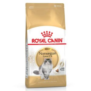 Royal Canin Norwegian Forest Cat – Saco 2 KG