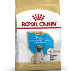 Royal Canin Pug Puppy – Saco 1,5 KG