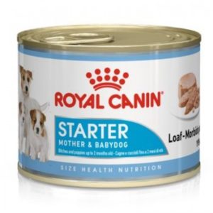 Royal Canin Starter Mousse – Bandeja 12 x 195 g